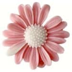 Molde de silicona margarita para velas